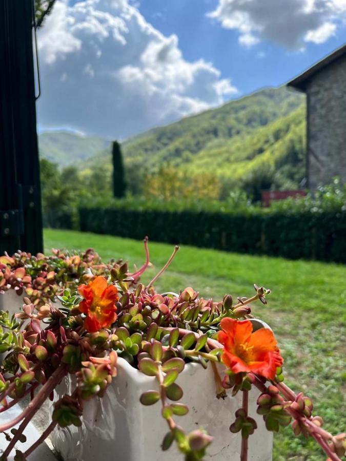 La Casina Del Bassotto Bagni di Lucca Exteriér fotografie